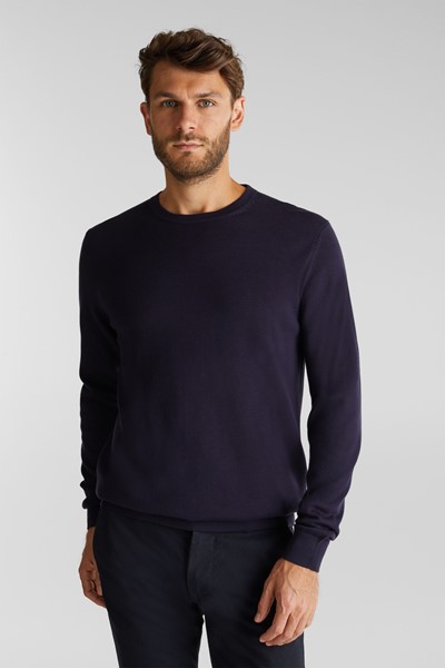 Pull-over Homme Esprit