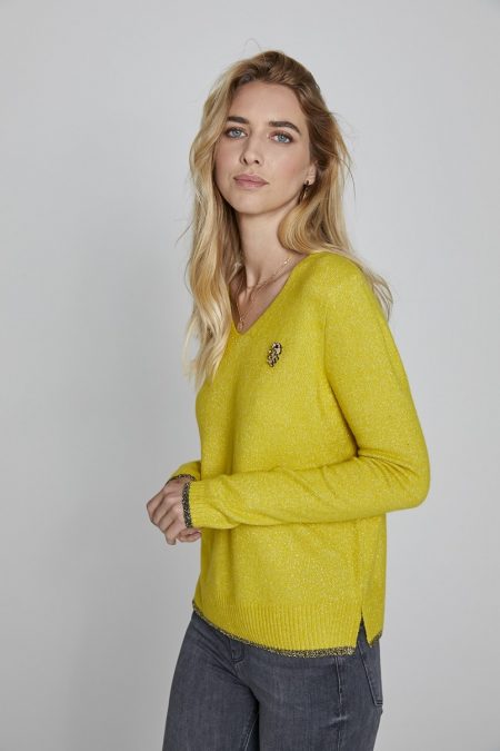 Pull col v Diplodocus