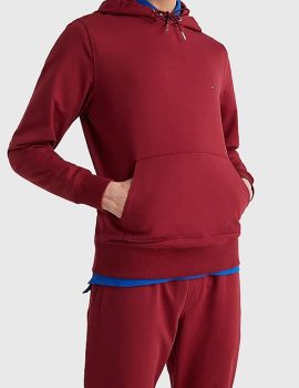 Sweat à capuche Tommy Hilfiger